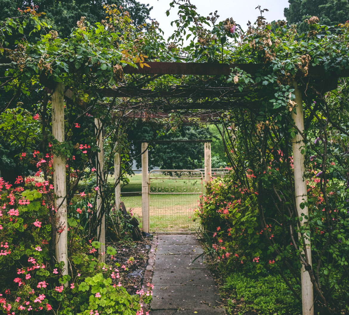 mitchell-gaiser-IkiaJW5sA9k-unsplash-beskuren Rum i naturen för ceremoni